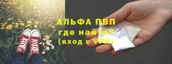 гашик Сосновоборск