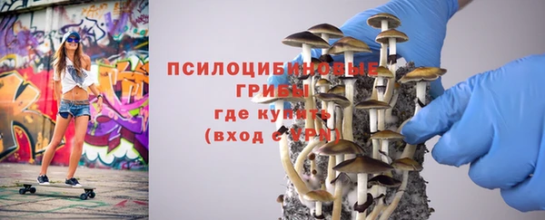 сатива Струнино